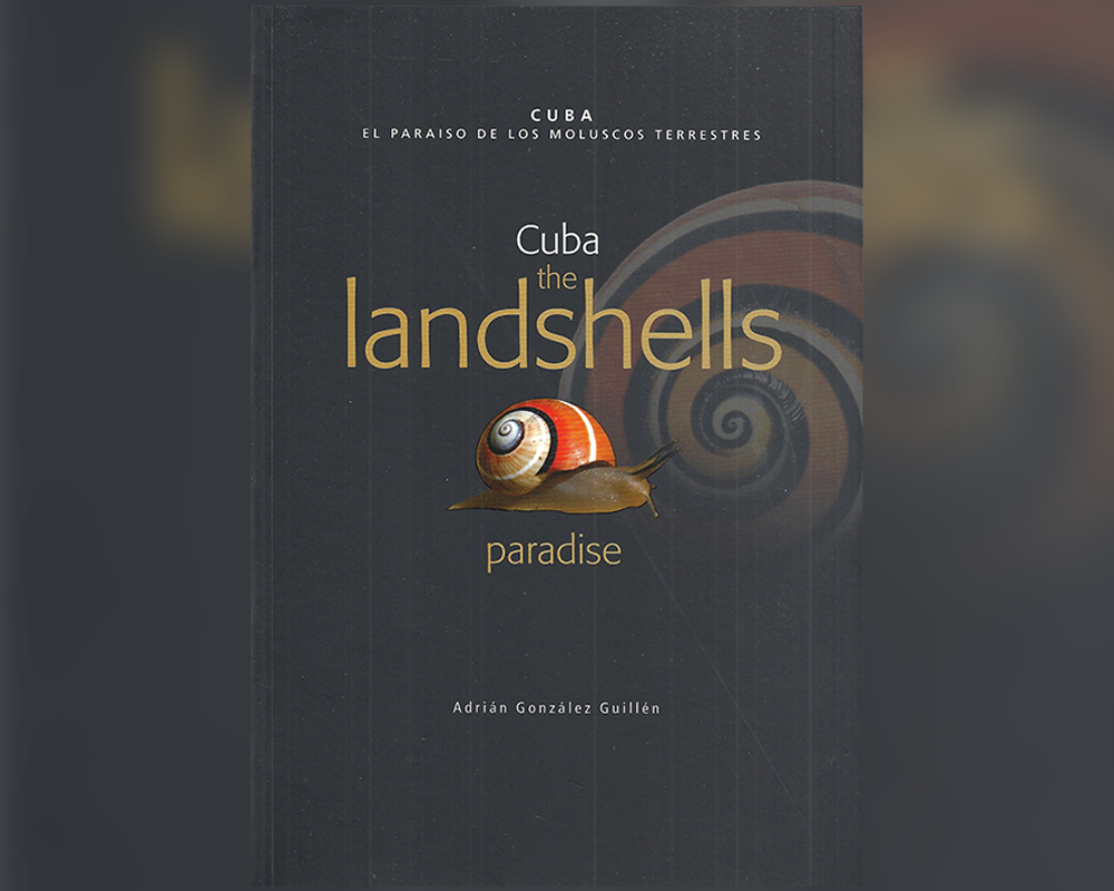 Cuba, the landshells paradise