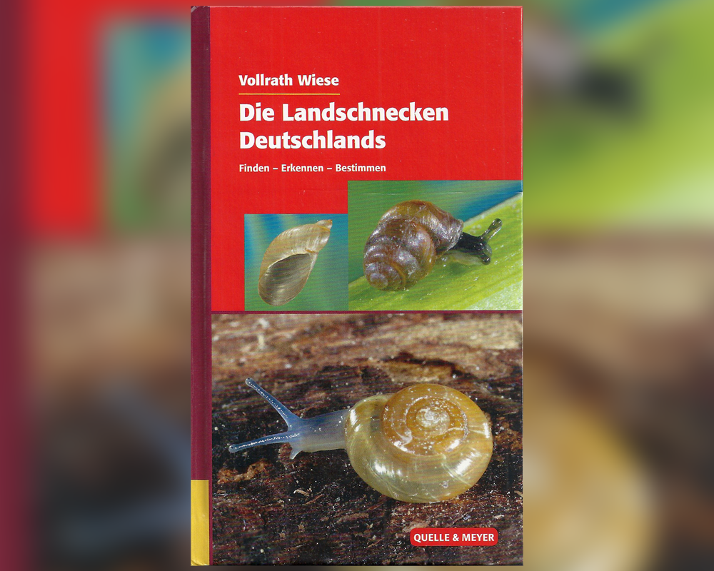 Die landschecken Deutschlands