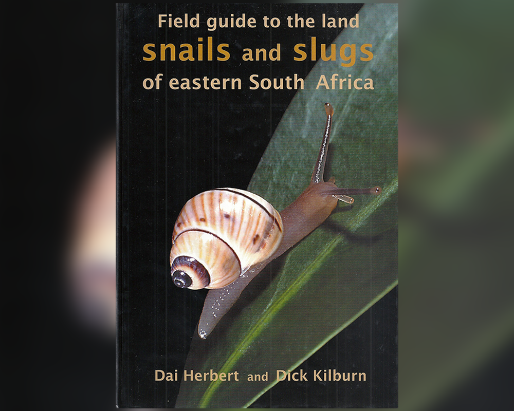 Field guide to the land snails and slugs of eastern South Africa