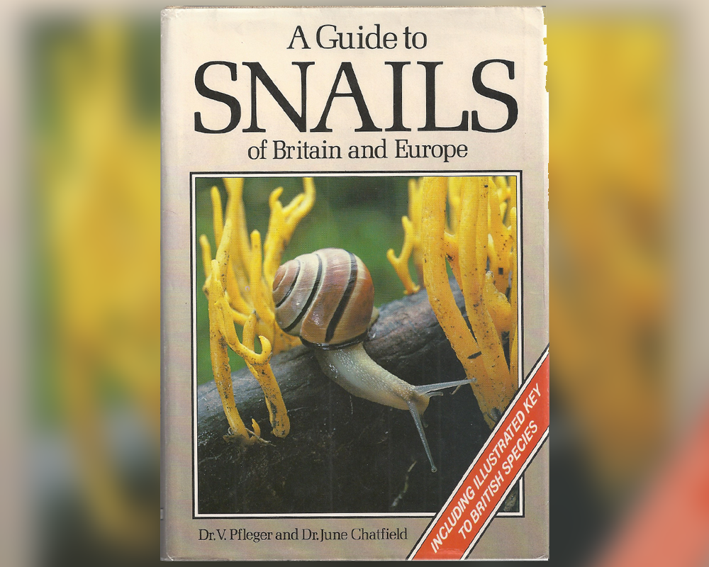 A guide to snails of Britain and Europe