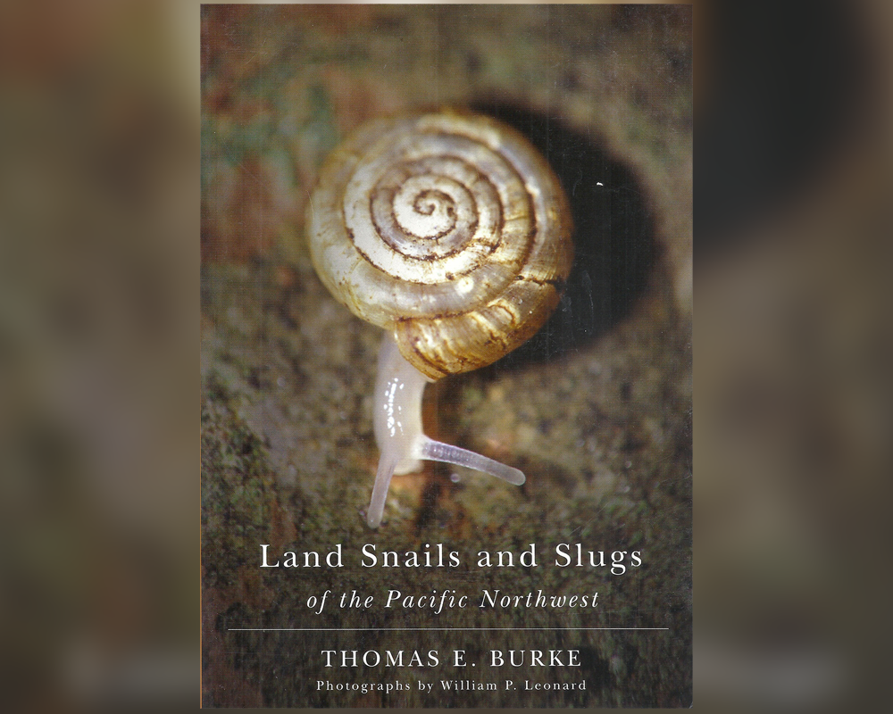 Land snails and slugs of the Pacific Northwest