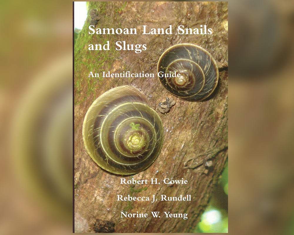 Samoan land snails and slugs