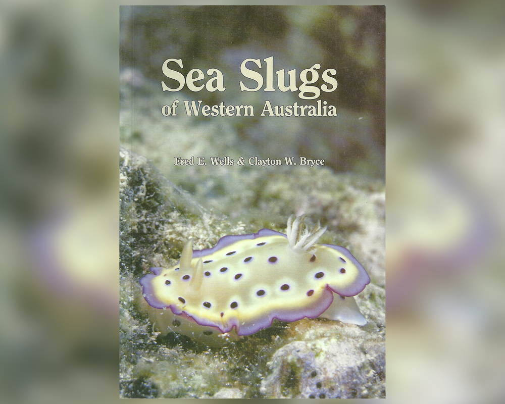 Sea slugs of Western Australia