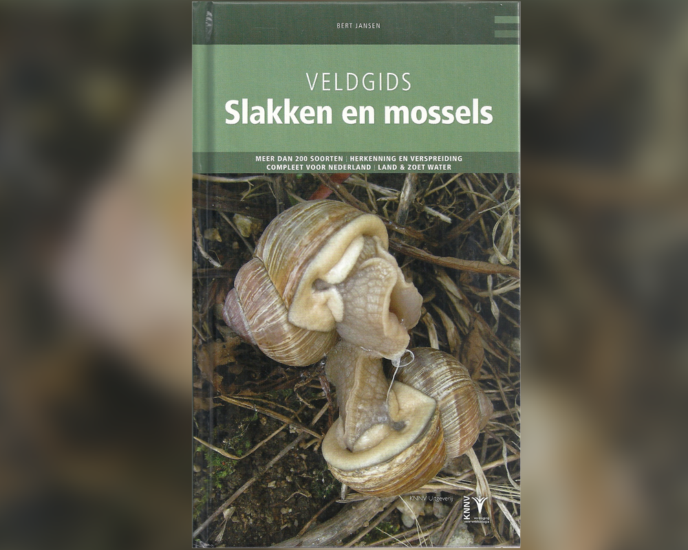 Veldgids slakken en mossels